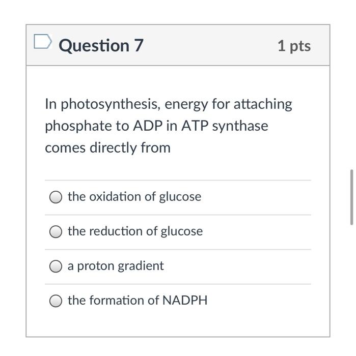 Solved Question 7 1 pts Question 8 1 pts Question 9 1 pts In | Chegg.com