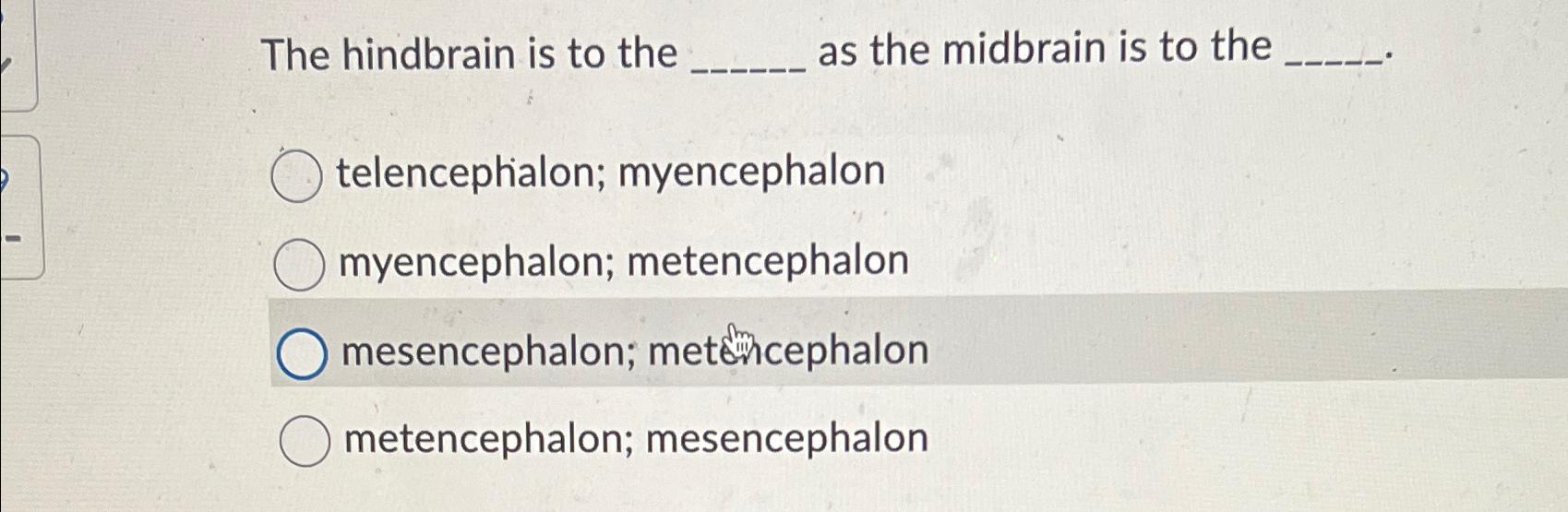 Solved The Hindbrain Is To The As The Midbrain Is To | Chegg.com