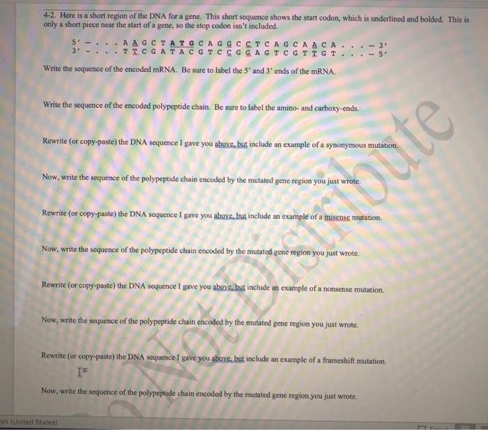 4-2. Here is a short region of the DNA for a gene. | Chegg.com