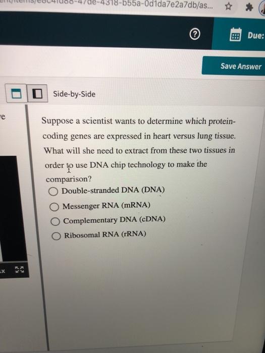 Solved Si O SidebySide How does cDNA differ from genomic