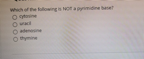 Which Of The Following Is Not A Pyrimidine
