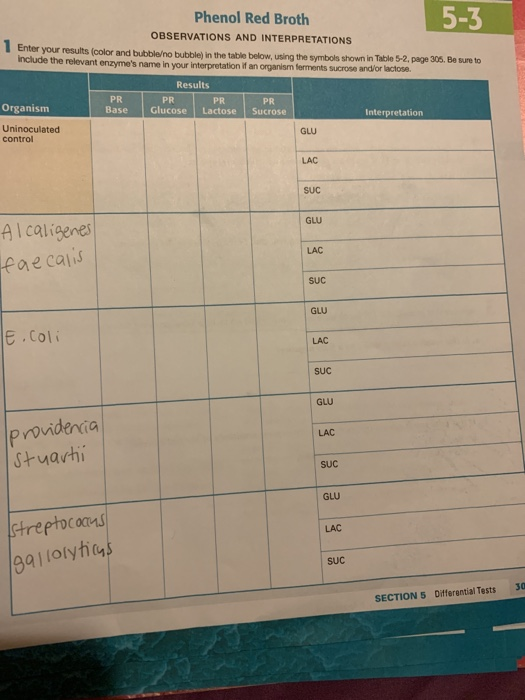 Solved 53 Phenol Red Broth OBSERVATIONS AND INTERPRETATIONS