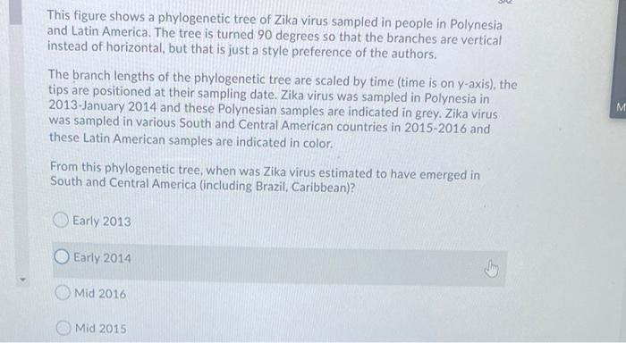 This figure shows a phylogenetic tree of Zika virus sampled in people in Polynesia and Latin America. The tree is turned 90 d