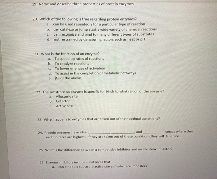 Solved 19 Name And Describe Three Properties Of Protein Chegg Com