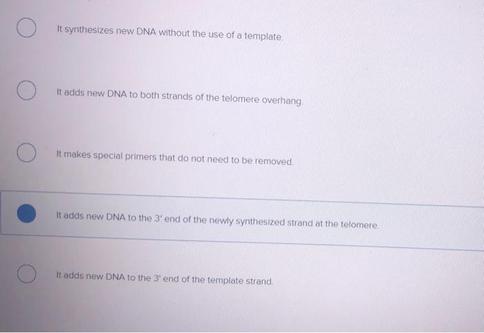 Solved Which of the following best describes the function of | Chegg.com