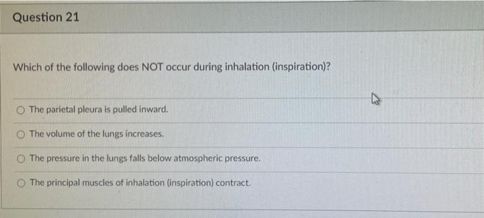 Solved Question Which Of The Following Does Not Occur Chegg Com