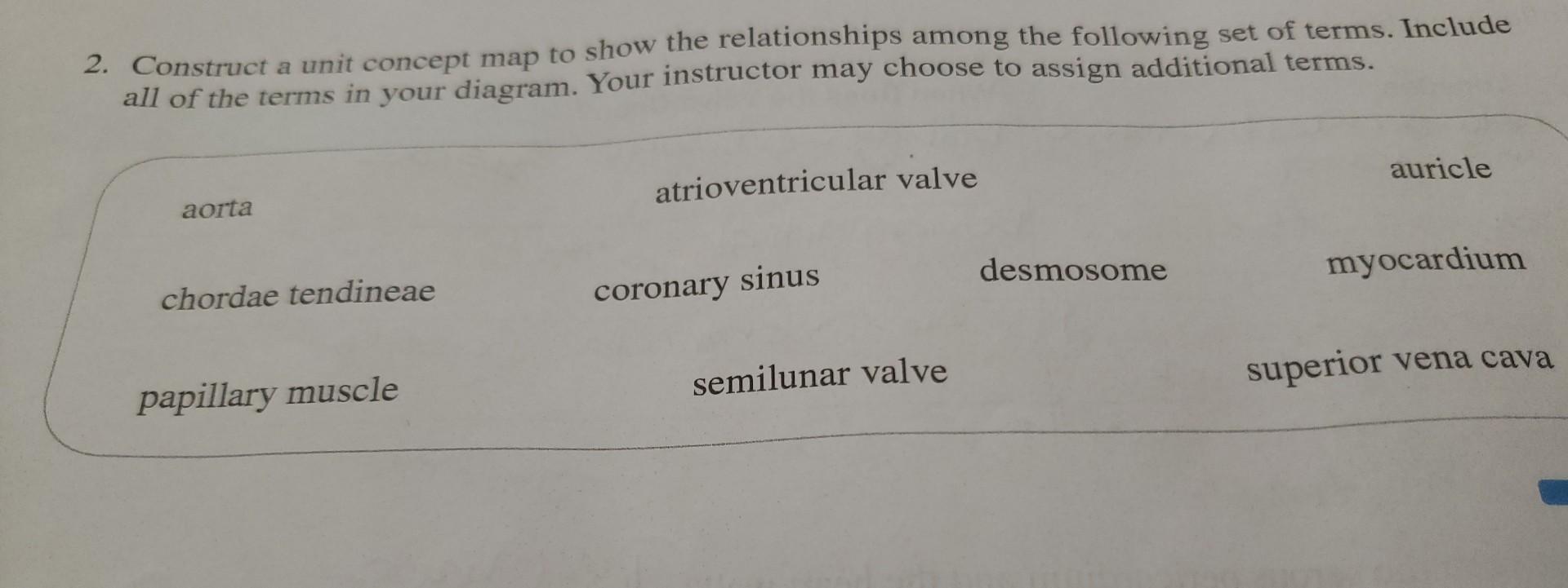 Solved 2 Construct A Unit Concept Map To Show The 