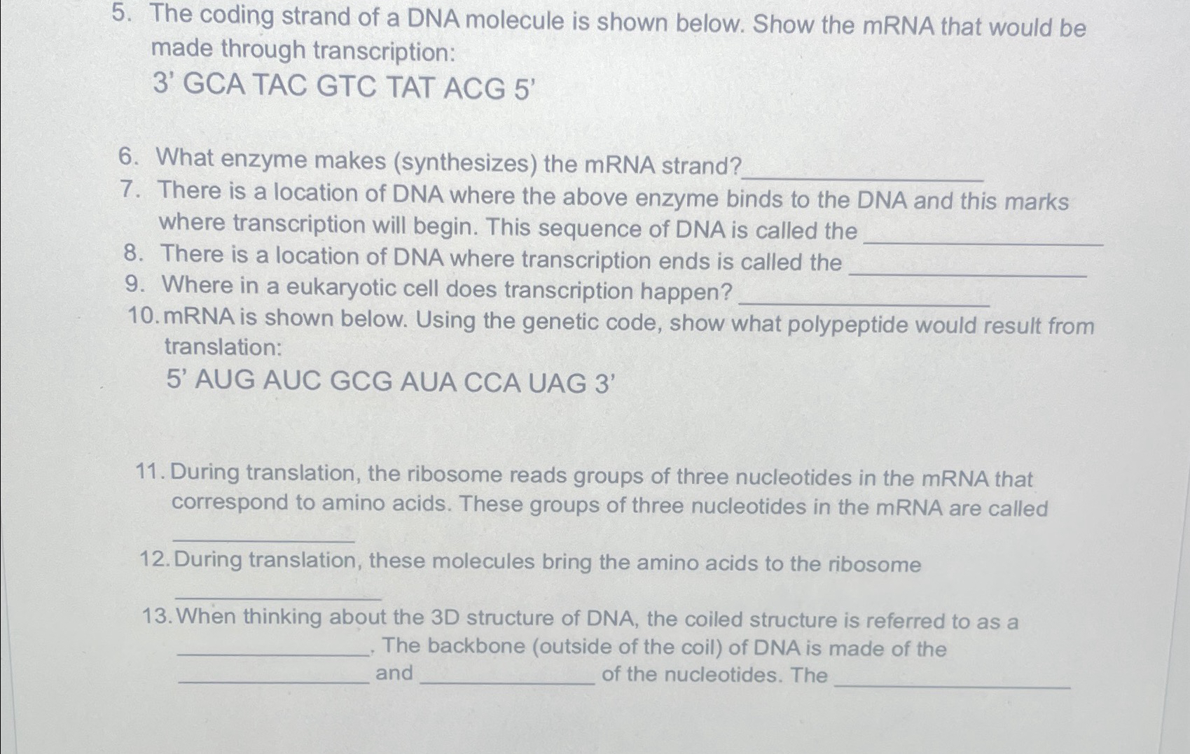 Solved The coding strand of a DNA molecule is shown below. | Chegg.com