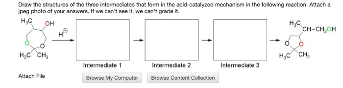 Solved Draw the structures of the three intermediates that | Chegg.com