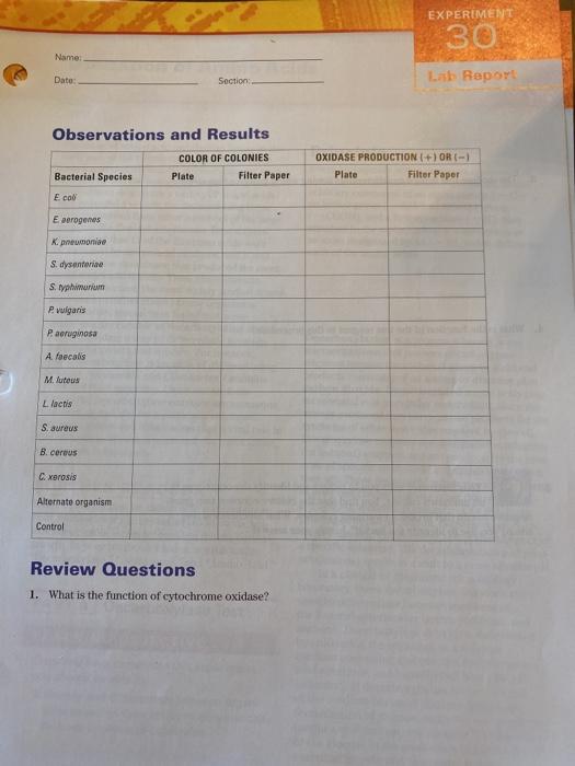 Solved EXPERIMENT 30 Name Date: Section Lab Report | Chegg.com