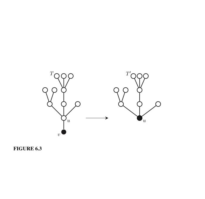 Solved Exercises 6.2.1 Find the center of the trees shown in | Chegg.com