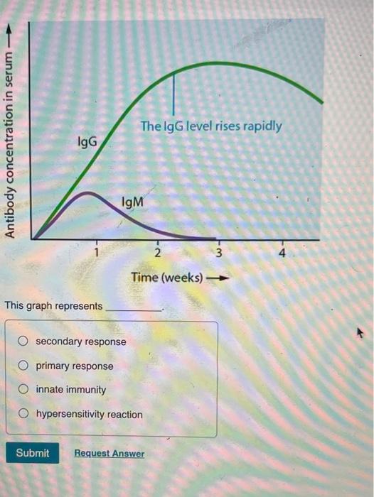 Solved The IgG level rises rapidly Antibody concentration in | Chegg.com