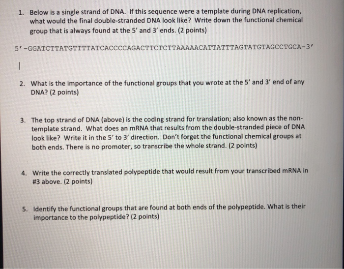 Solved 1. Below is a single strand of DNA. If this sequence