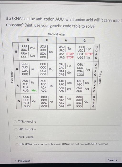 Solved If a tRNA has the anti-codon AUU, what amino acid | Chegg.com