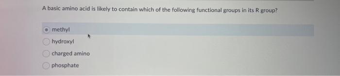 Solved A basic amino acid is likely to contain which of the | Chegg.com