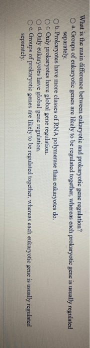 Solved What is the main difference between eukaryotic and | Chegg.com