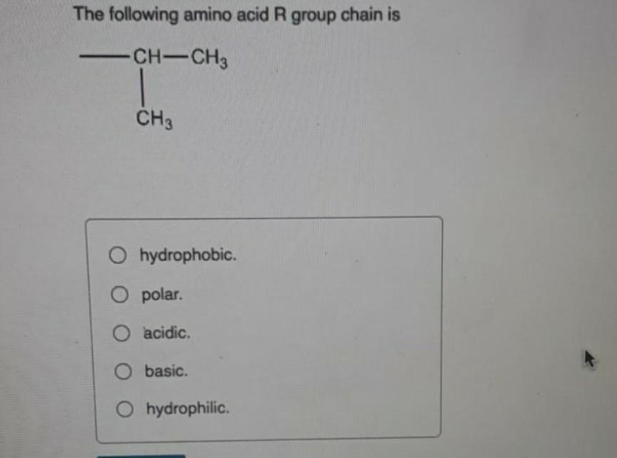 Solved The following amino acid R group chain is CHCH3 CH3