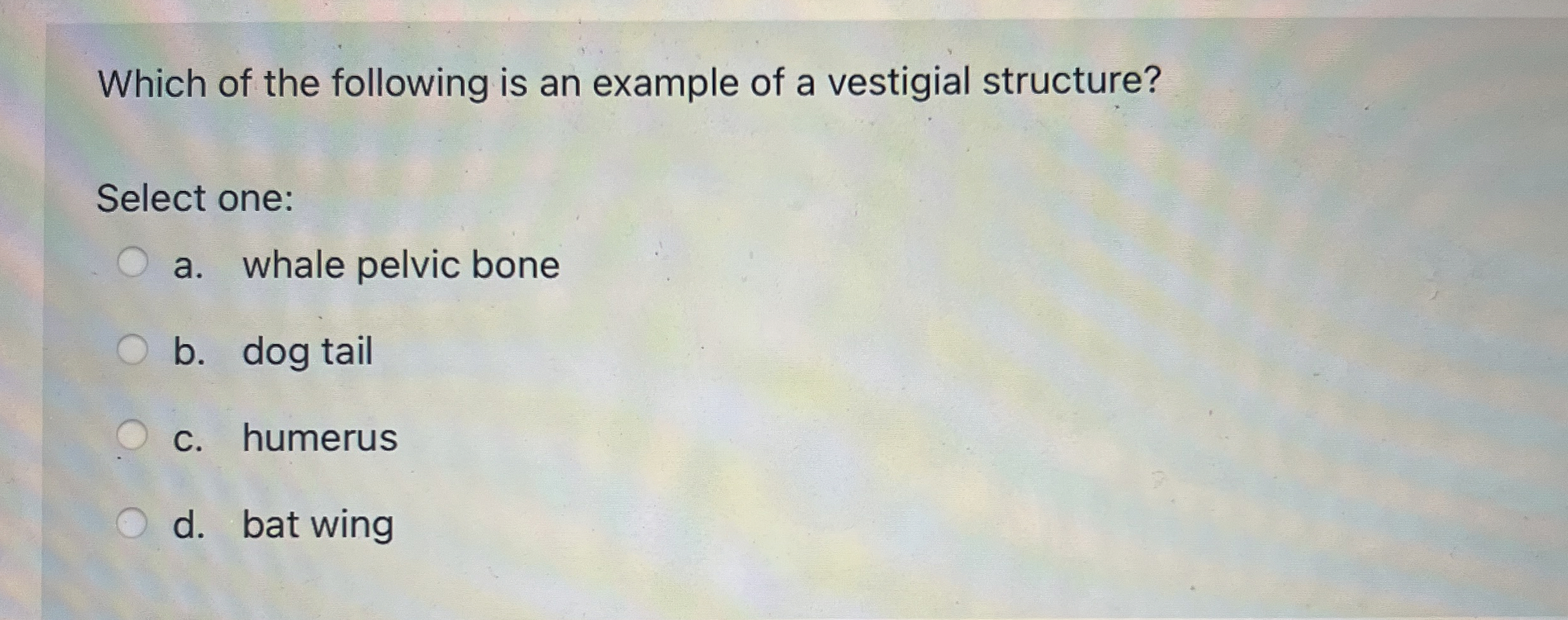 Solved Which of the following is an example of a vestigial | Chegg.com
