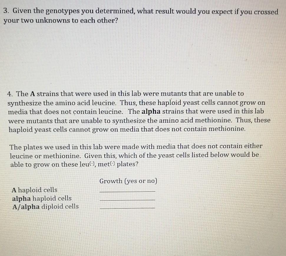 Solved YEAST LAB BIOS 1081 Background Yeast are