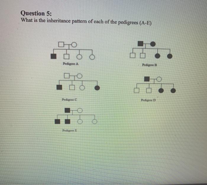Solved Question 5: What is the inheritance pattern of each | Chegg.com