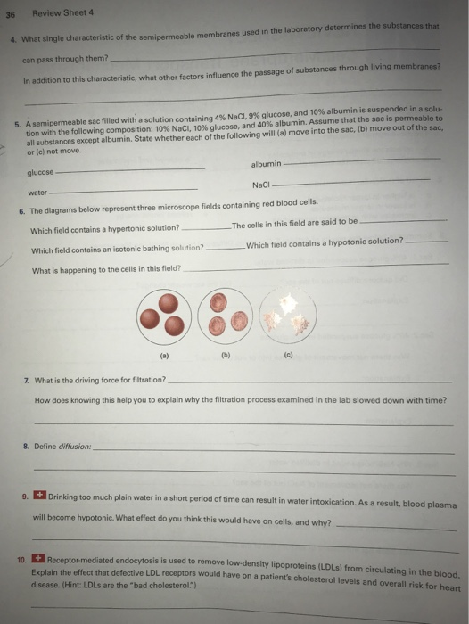 Solved Exercise Review Sheet Cell Membrane Transport Chegg Com