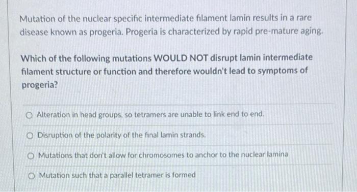 nuclear lamina progeria