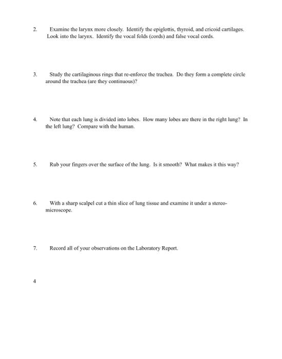 Solved 1. Study models (head, torso, lungs) and diagrams. Be | Chegg.com