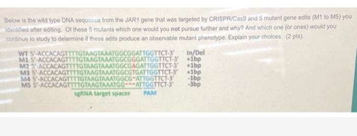 Solved Below is the wild type DNA sequence from the JAR1 | Chegg.com
