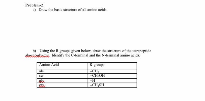 Solved Problem-2 a) Draw the basic structure of all amino | Chegg.com