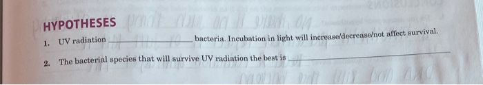 Solved Hypotheses Nan 1 Uv Radiation Bacteria Incubation Chegg Com