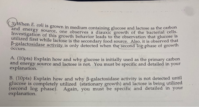 Solved 3) When E. coli is grown in medium containing glucose | Chegg.com