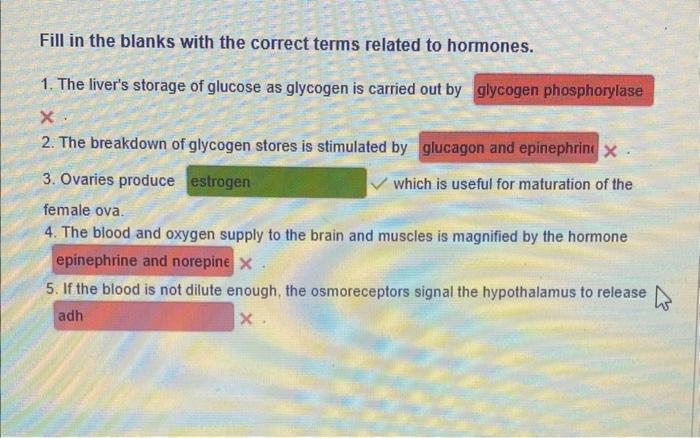 Fill in the blanks with the correct terms related to hormones.
1. The livers storage of glucose as glycogen is carried out b