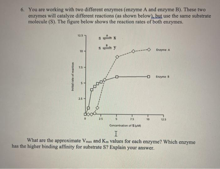 Solved 6. You are working with two different enzymes (enzyme | Chegg.com