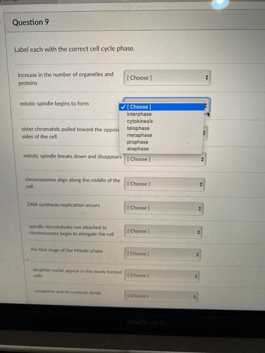 Solved Question 9 Label each with the correct cell cycle | Chegg.com