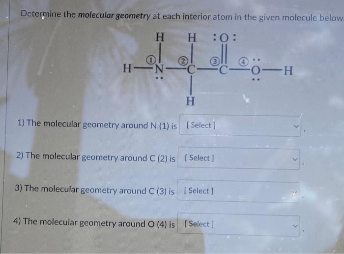 Solved Determine the molecular geometry at each interior | Chegg.com