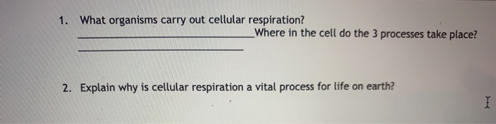 solved-1-what-organisms-carry-out-cellular-respiration-chegg