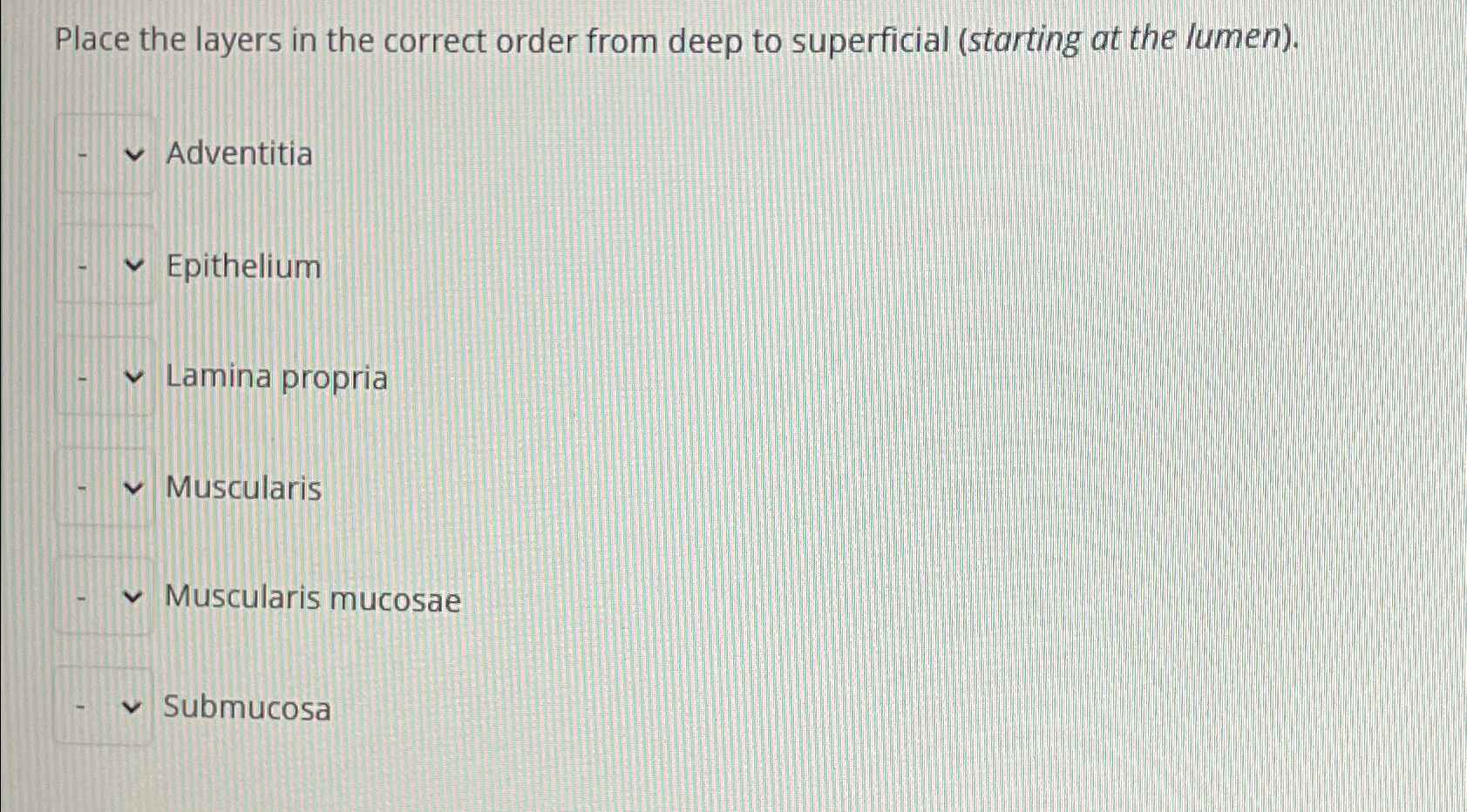 Solved Place the layers in the correct order from deep to | Chegg.com