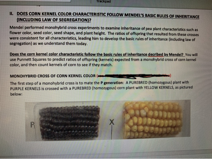Solved Trackpad II. DOES CORN KERNEL COLOR CHARACTERISTIC