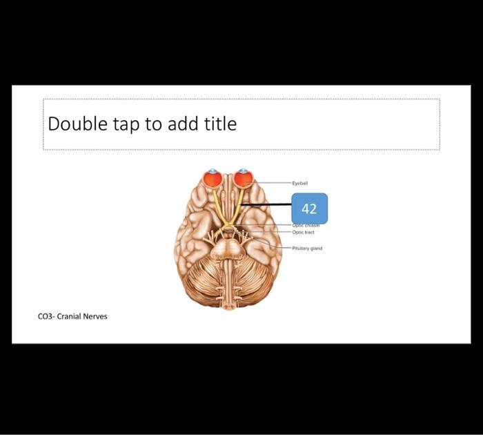 Solved A Double tap to add title CO3 Cranial Nerves