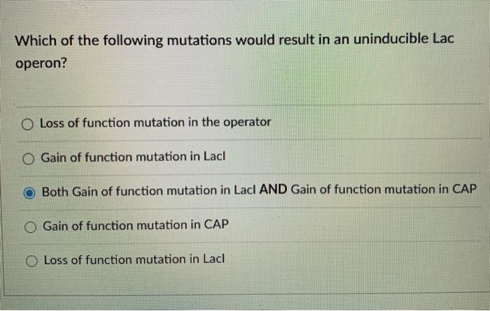 Solved Which of the following mutations would result in an | Chegg.com