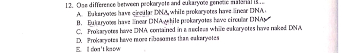 Solved One difference between prokaryote and eukaryote | Chegg.com