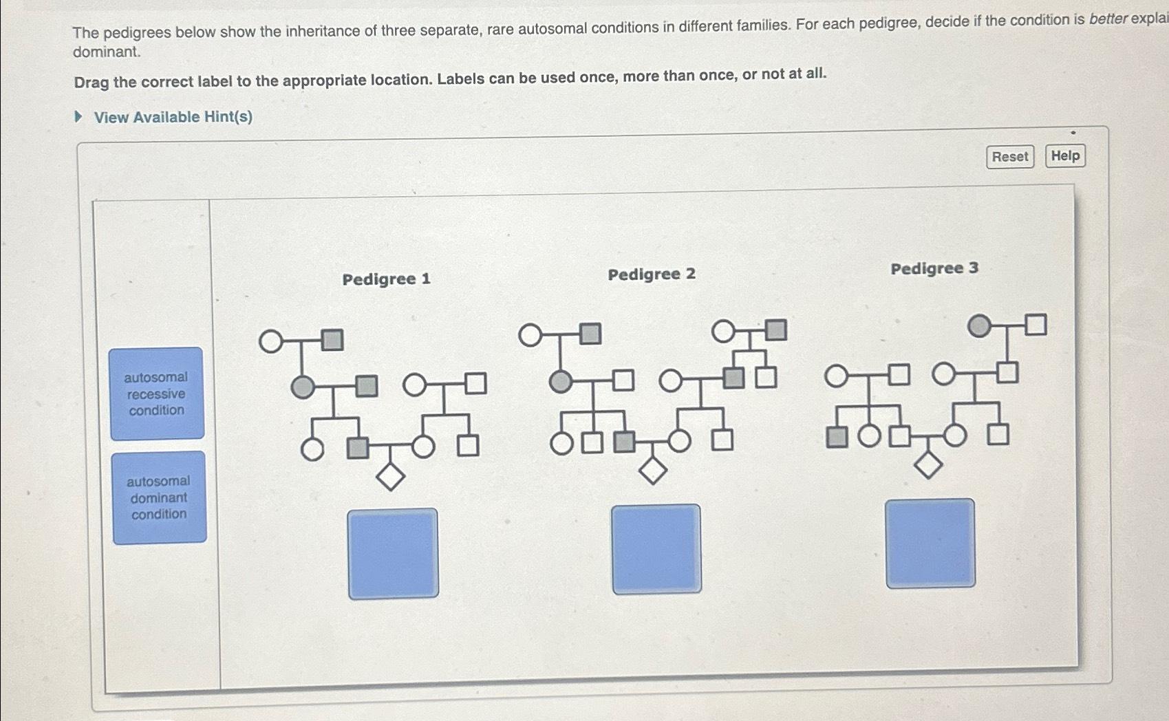 Solved The Pedigrees Below Show The Inheritance Of Three | Chegg.com