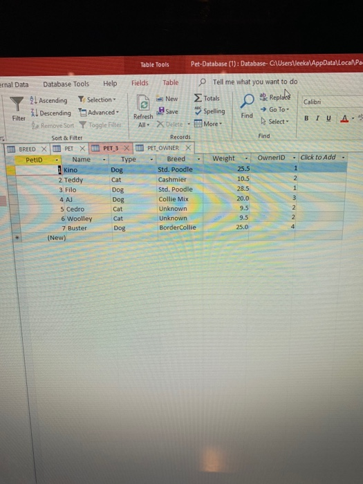 Solved Table Tools PetDatabase (1) Database Find External