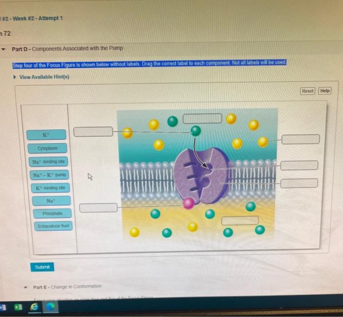 Solved #2 - Week 2 - Attempt 1 72 Part D-Components | Chegg.com