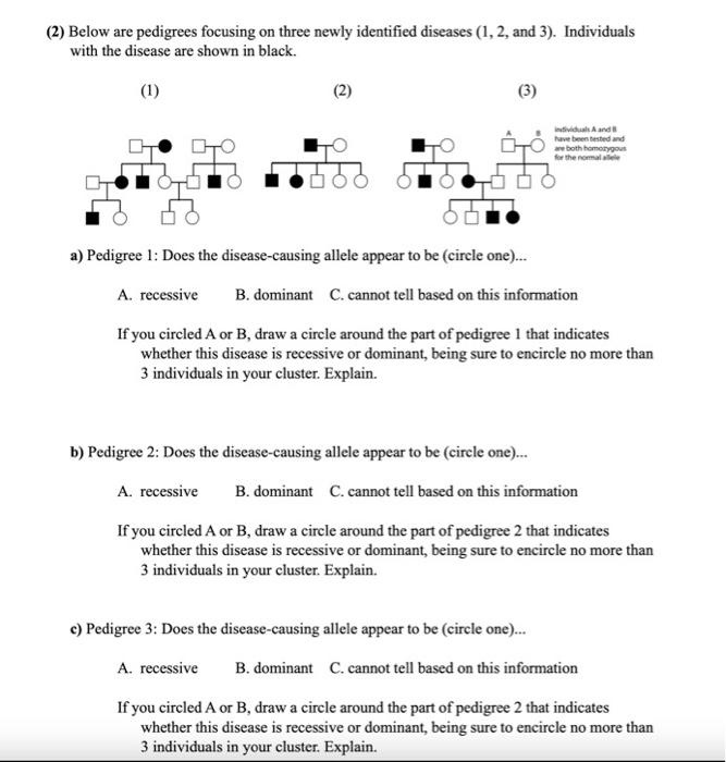 Solved 2 Below are pedigrees focusing on three newly Chegg