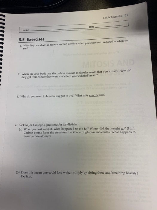 Solved Cellular Respiration 71 Date Name - 6.5 Exercises 1. | Chegg.com