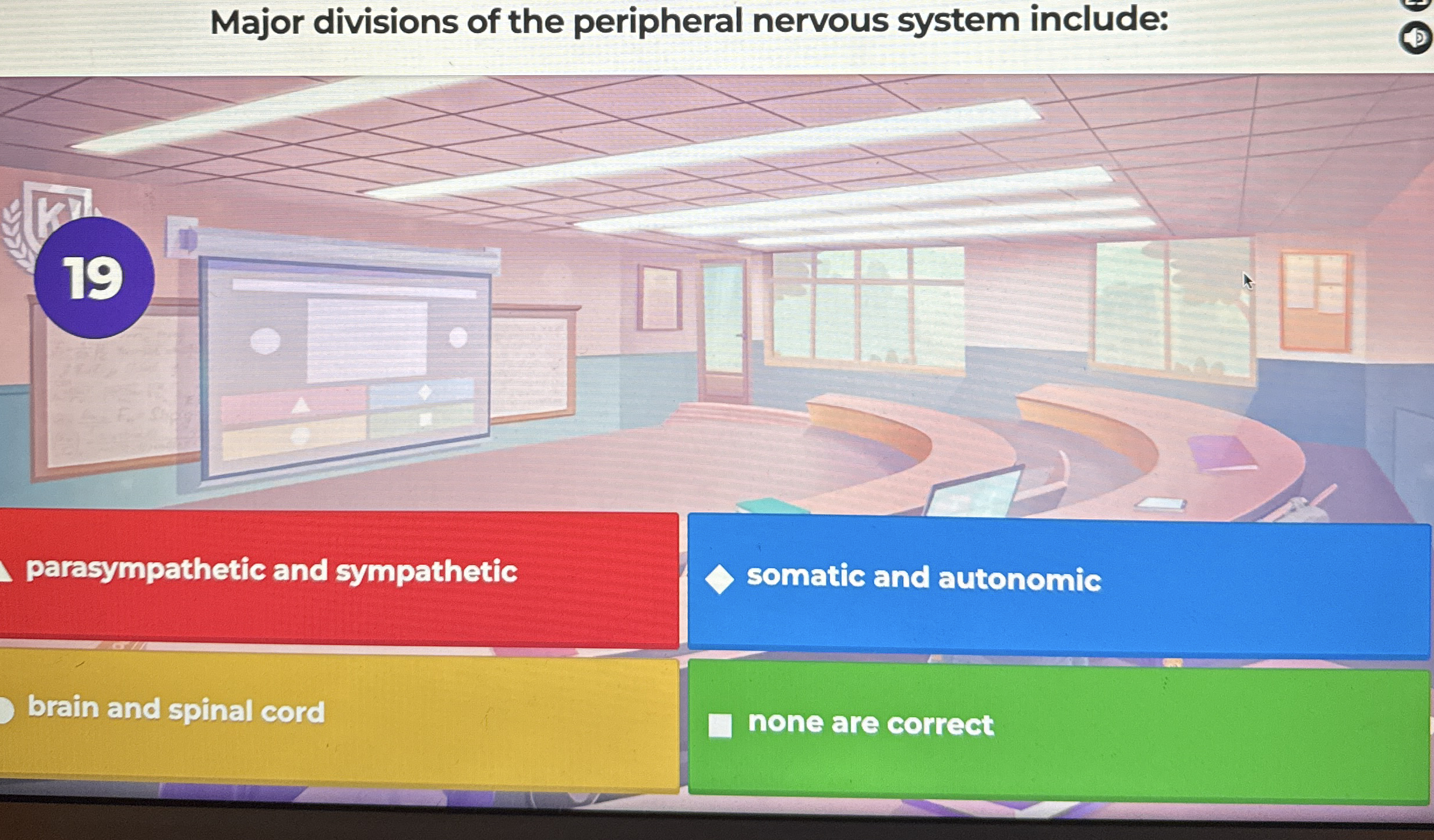 Solved Major divisions of the peripheral nervous system | Chegg.com