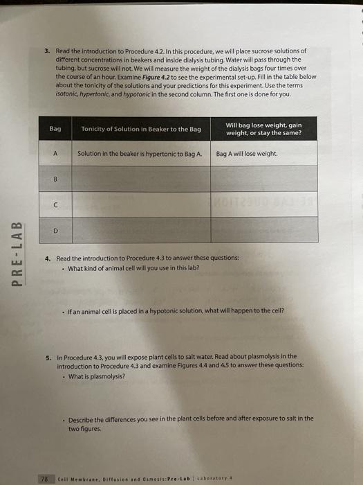 Solved 3. Read the introduction to Procedure 4.2. In this | Chegg.com