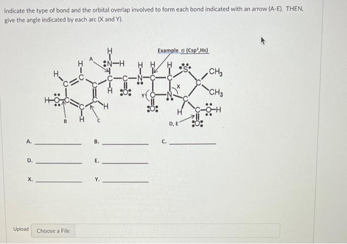 Solved Indicate the type of bond and the orbital overlap | Chegg.com