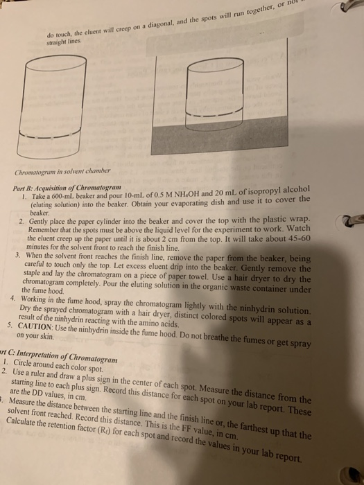 Lab Report Paper Chromatography of Amino Acids Part
